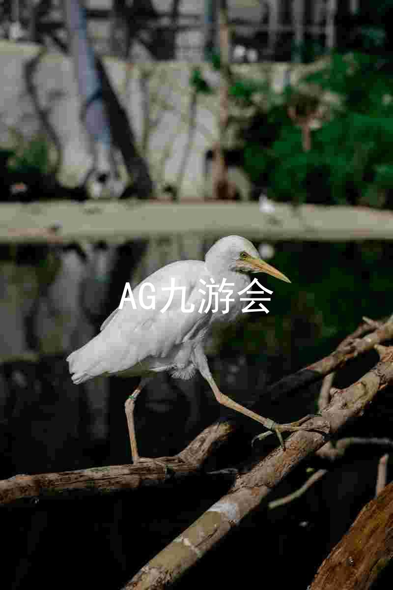 AG九游会
